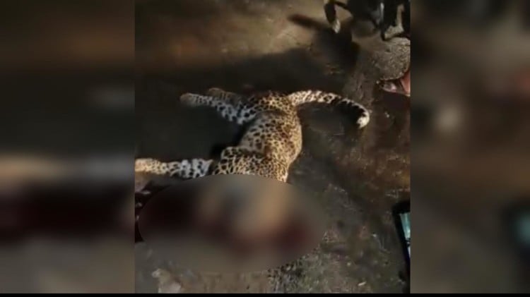 Bijnor: Unknown Vehicle Hit Guldar He Died In The Accident