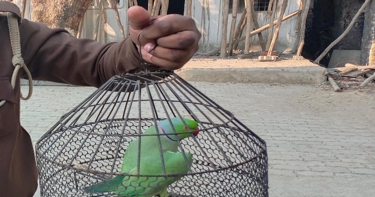2 साल से गायब तोते के लिए घंटों चली थाने