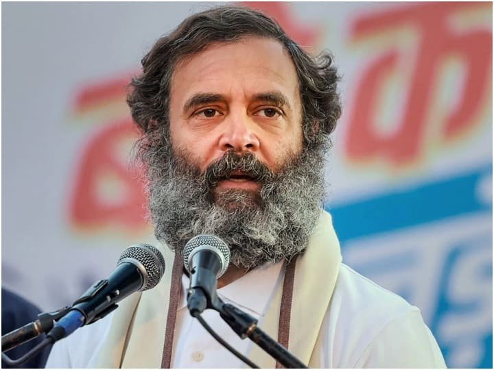 Rahul Gandhi On His Marriage Plans, Ideal Life Partner, His