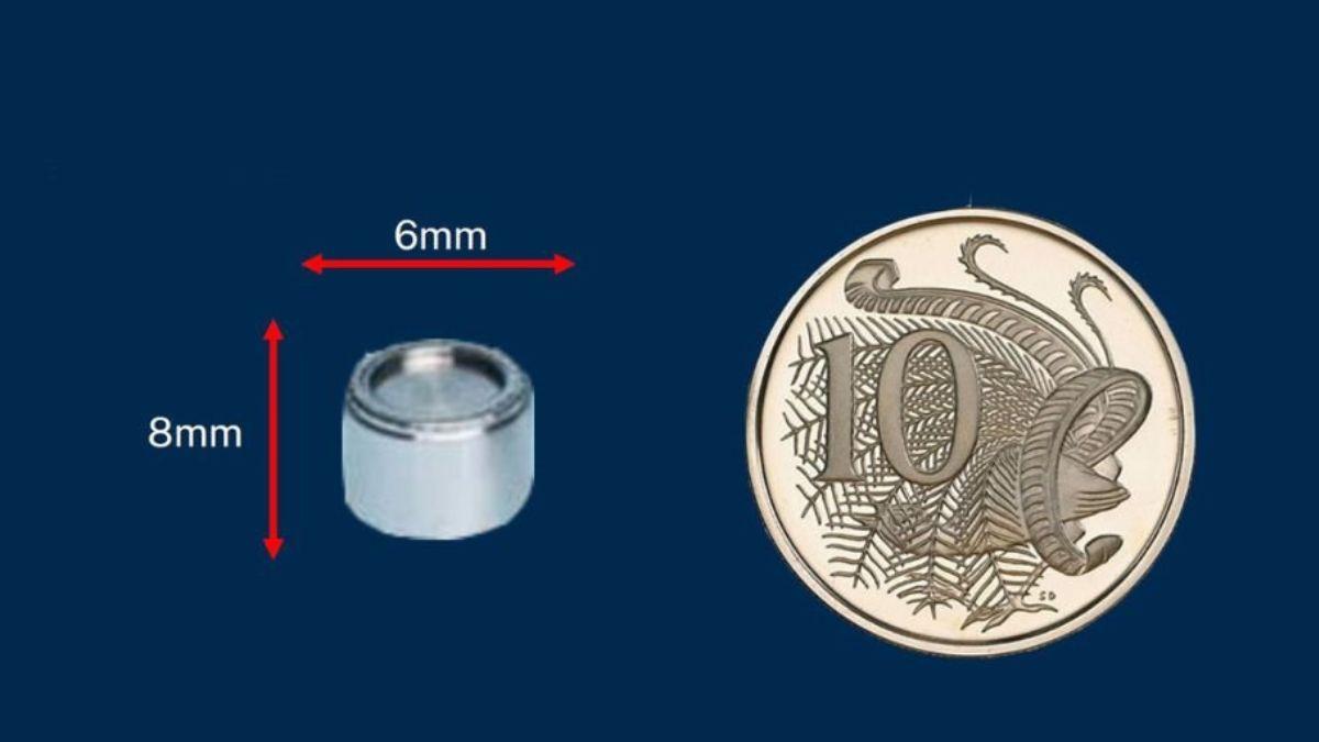 सिक्के के आकार का रेडियोएक्टिव कैप्सूल गायब होने से हड़कंप मच गया है (फोटो- Western Australia Chief Health Officer Twitter))