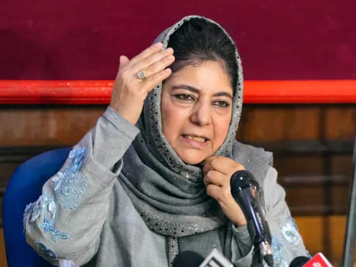 PDP Will Not Remain Silent About BJP Onslaught On Opposition