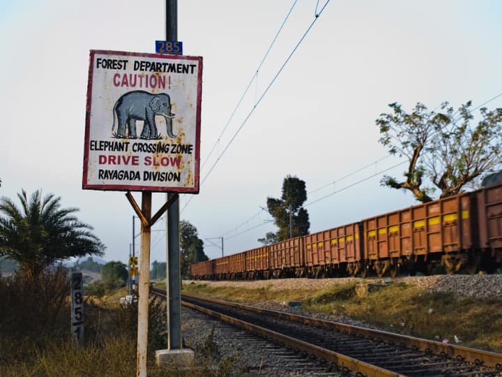Artificial Intelligence Will Help Prevent Elephant And Train Accident This