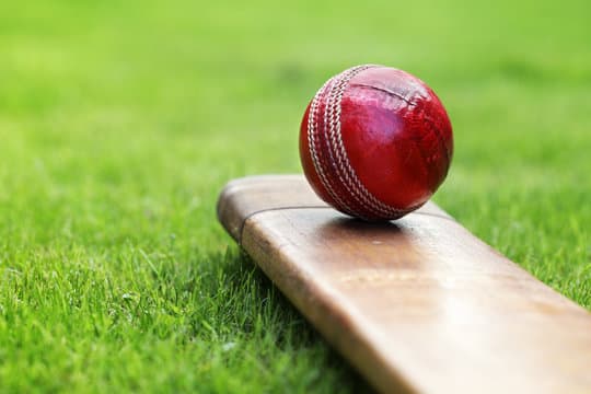 Man Dead While Playing Cricket In Gujarat's Rajkot Due To Hear Attack 8th Death In 45 Day While Playing Sports