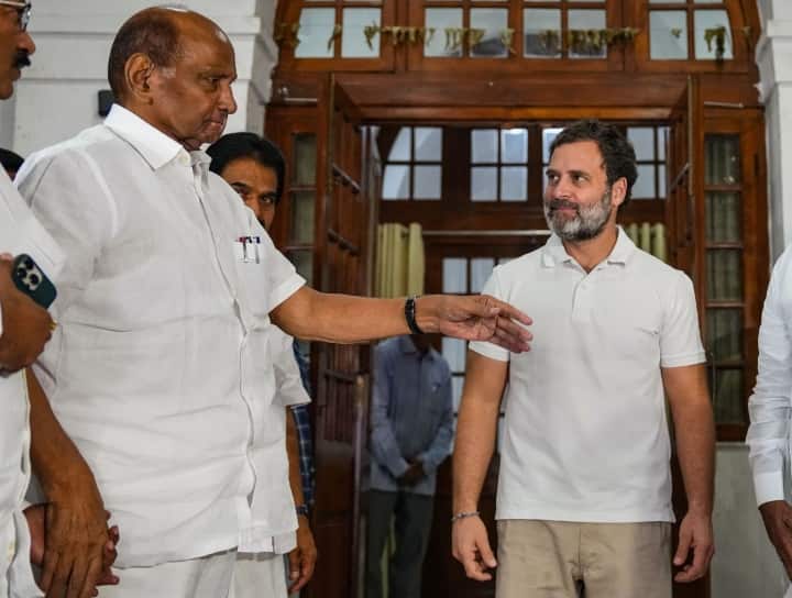 Maharashtra NCP Political Crisis Congress Leader Rahul Gandhi Meets Sharad