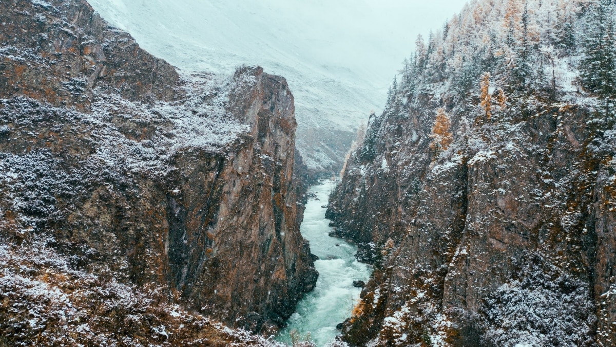 नहीं पता TV क्या है, युद्ध की भी खबर नहीं... 1936 में घने जंगलों में रहने आया था परिवार (तस्वीर- Pexels)