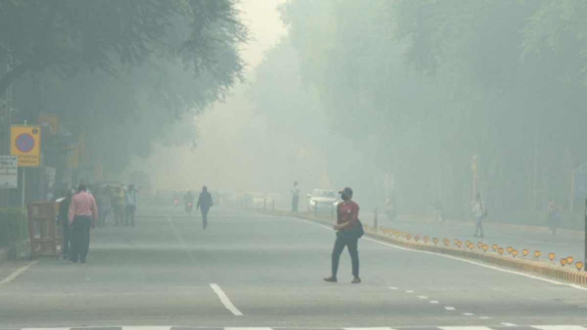 Delhi Pollution (File Photo)