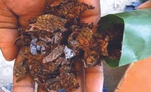 अवैध दोहरे की बिक्री रोकने में प्रशासन हो रहा नाकाम