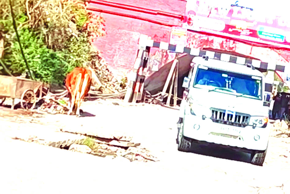 जौनपुर शहर में खुली नालियां और गड्ढों से परेशान लोग