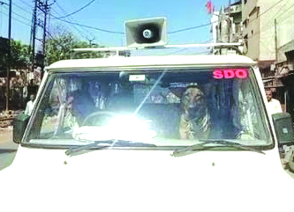 सरकारी बोलेरो गाड़ी में पालतू कुत्ते का वीडियो जौनपुर में वायरल