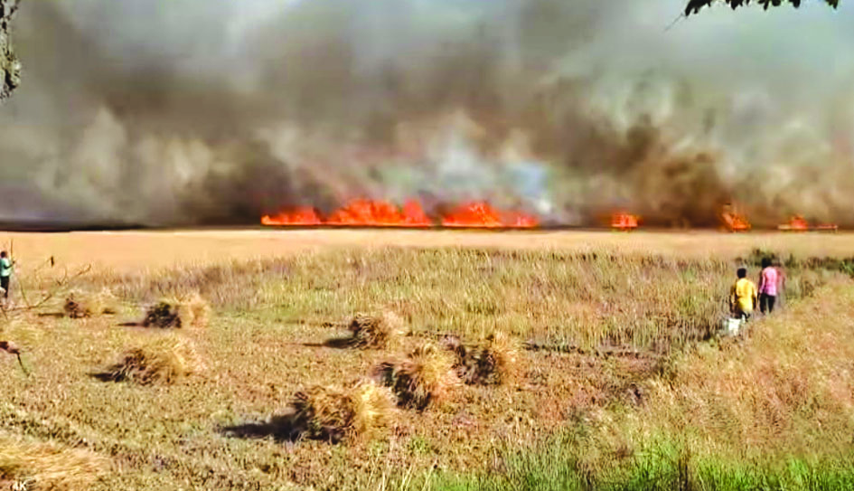 जौनपुर के सरायख्वाजा क्षेत्र में आग से जली गेहूं की फसल