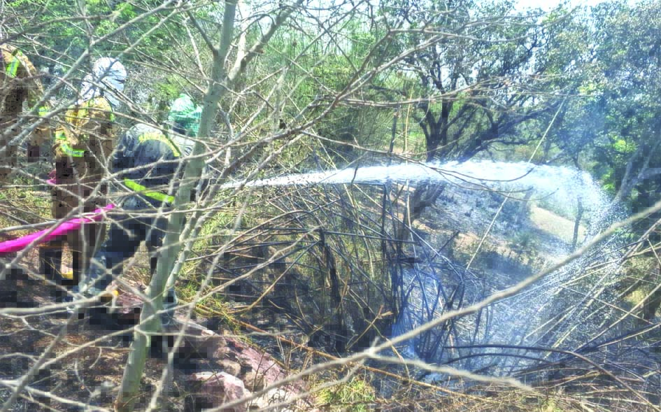 केराकत के पसेवां गांव में बासकोट और सरपत के झुंड में लगी आग