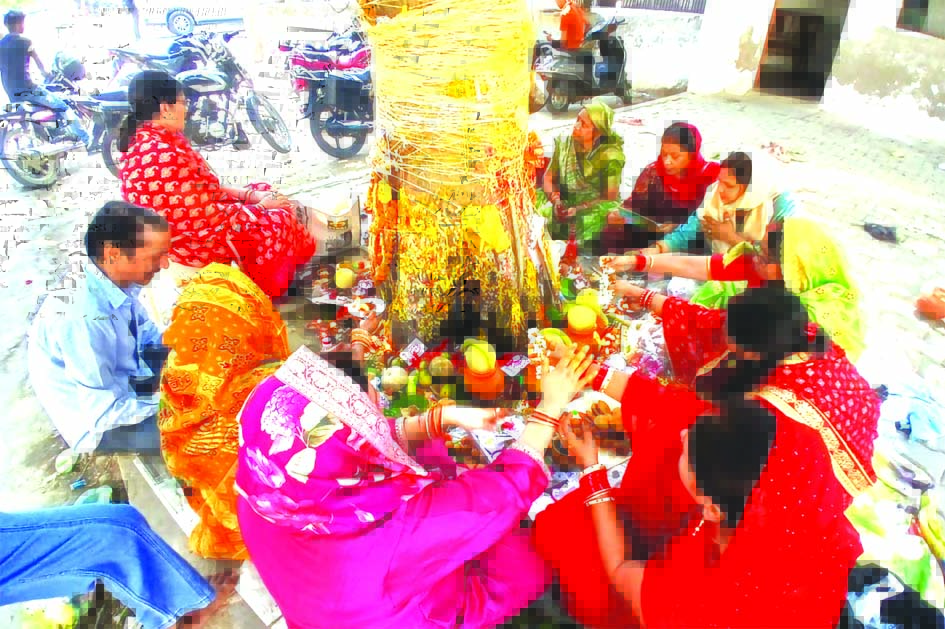जौनपुर में बरगद के पेड़ की पूजा करती सुहागिन महिलाएं