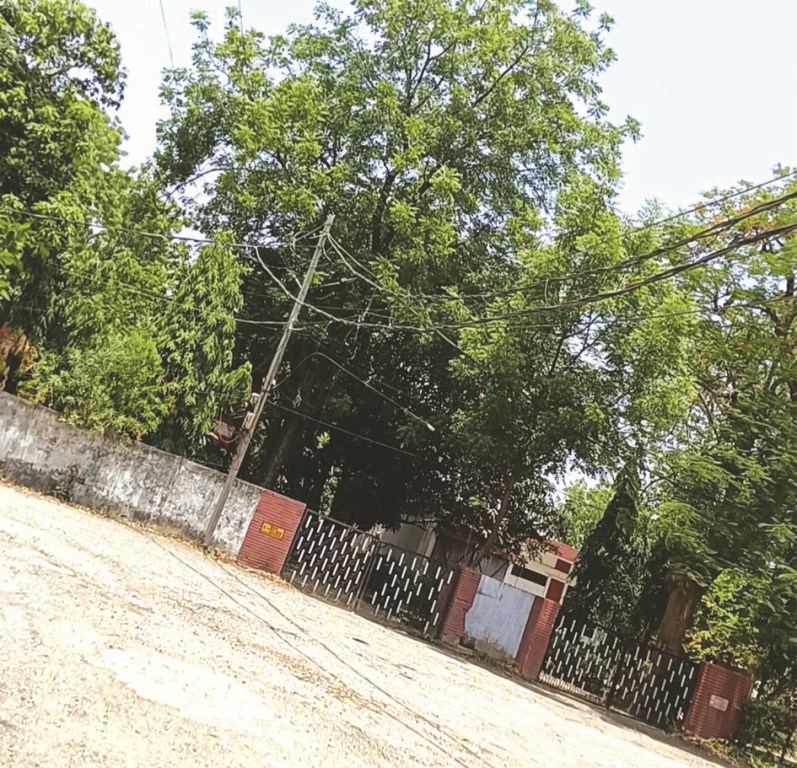 जौनपुर के हाइडिल परिसर में जर्जर एबीसी केबल