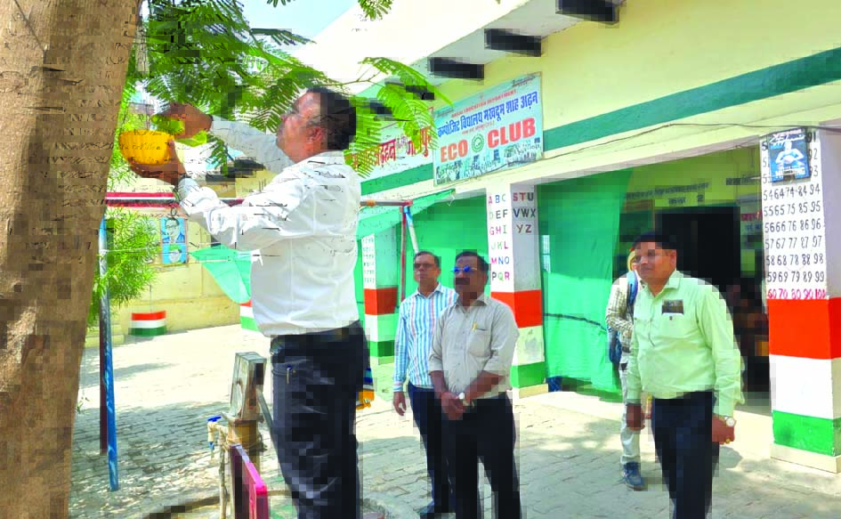 पक्षियों के लिए दाना-पानी अभियान जौनपुर में पक्षियों के लिए दाना-पानी की व्यवस्था करते शिक्षक और छात्र