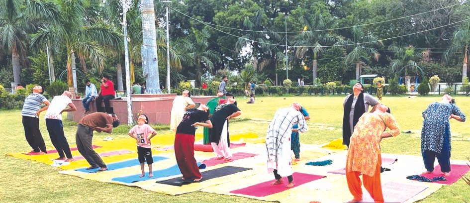 लोहिया पार्क में योगाभ्यास करते प्रतिभागी