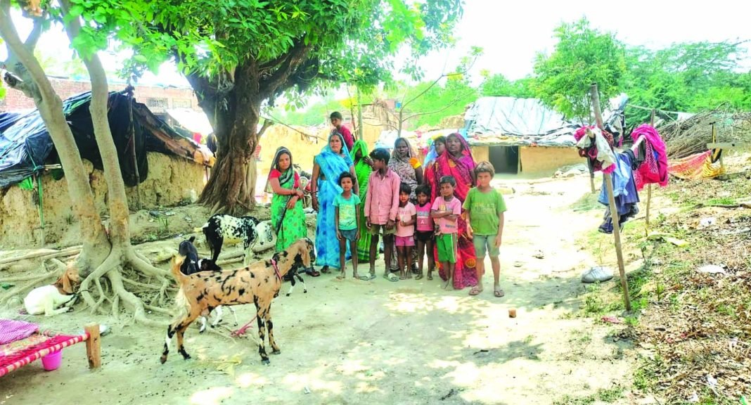 मुसहर परिवार भूमि कब्जा मामला पट्टे की जमीन पर कब्जा न मिलने से झोपड़ी में रहने को मजबूर मुसहर परिवार